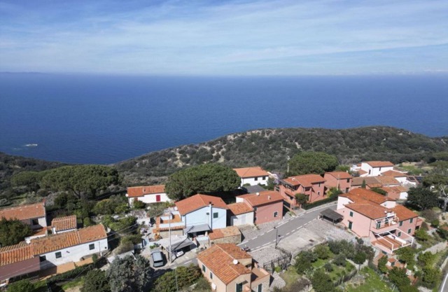 LA MARGHERITA ALLA ZANCA