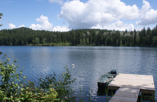Lakefront Privacy off Canada's Fishing Highway (Hwy 24) in BC Cariboo