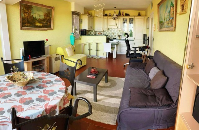 Large, comfortable T2 apartment