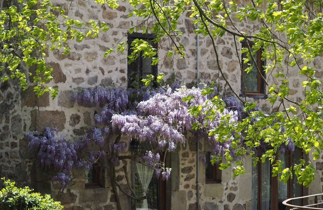 Large stone house by the river - Furnished tourist accommodation 3 stars