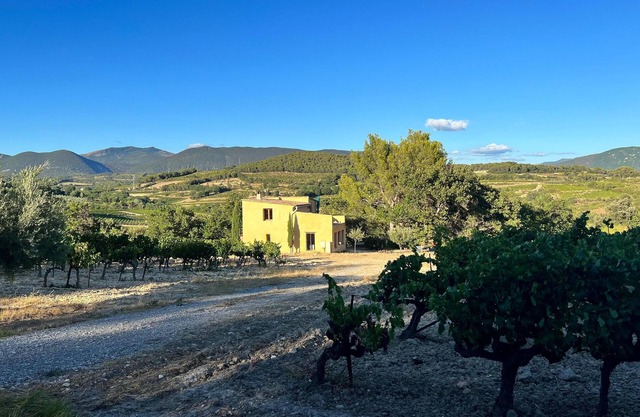 Le Cabanon des Vignes, an exceptional site amidst the vines
