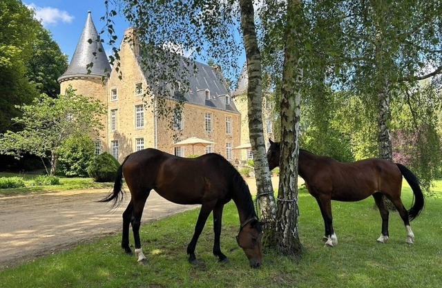 Le Château de Vaux, un Endroit Calme et Reposant