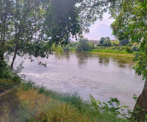 Le gite de l'ile du Buzet