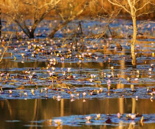 Leopard Ranch - Luxury Tented Camp