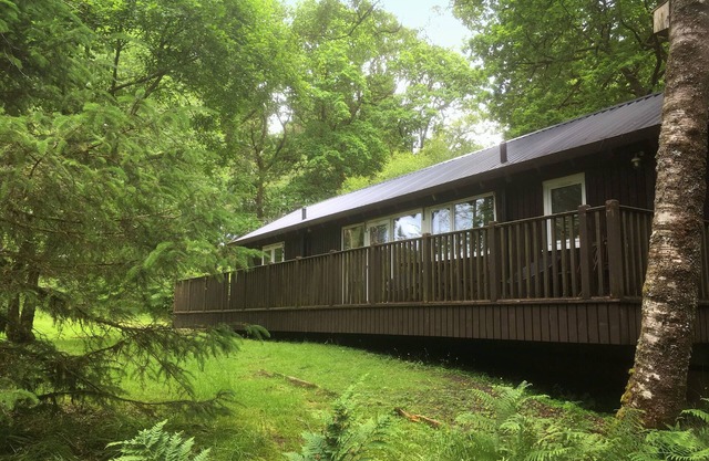 LIEVER is a charming log cabin in a beautiful forest location close to Loch Awe