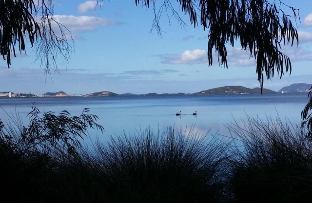 Lilacs Waterfront Villas & Cottages