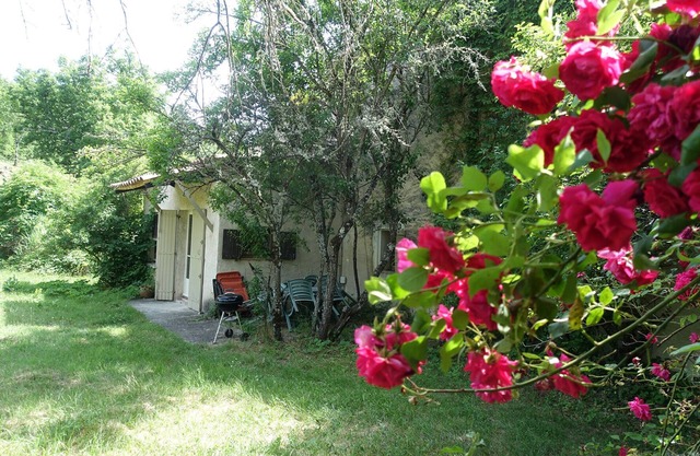 Little Mas in full nature area