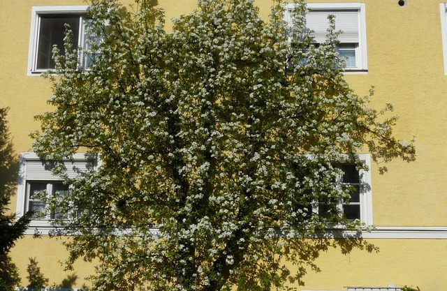 Living in a townhouse 1- 150 squyard non smoking apt, quiet and central