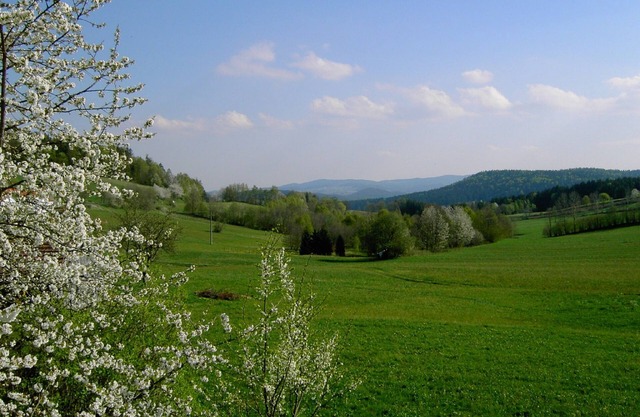 Living in nature at the Bavarian Forest National Park. Award-winning garden