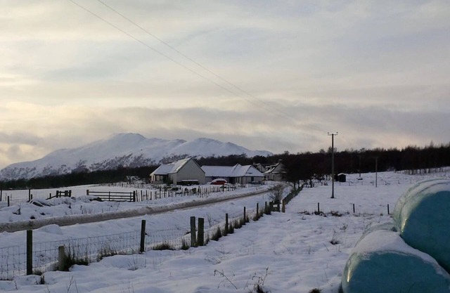 Loft Cottage With Stunning Views Of The Cairngorm Mountains And Local Wildlife.