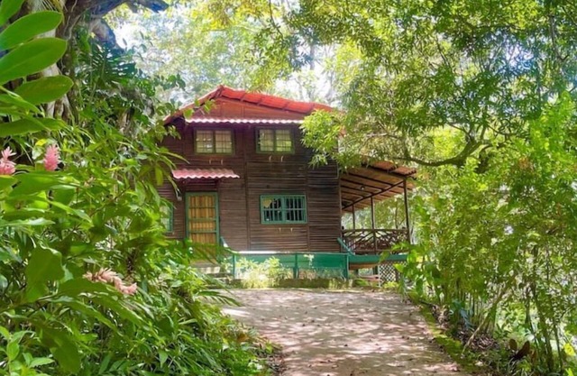 Log cabin. Wooden soul dressed in jungle pet friendly