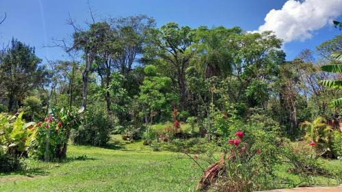 Los Árboles