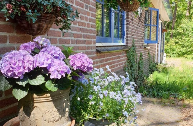 Lovely house near the forest and heath in Otterlo