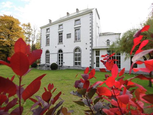 Luxurious Mettet Mansion