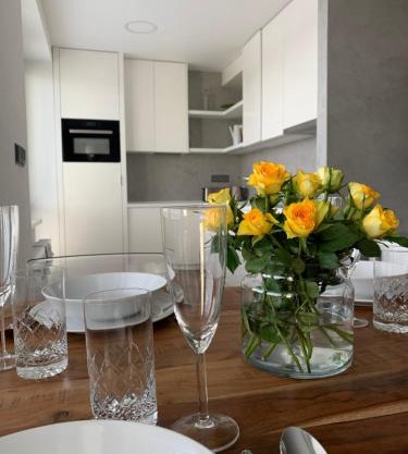 Luxury Flat in Brno