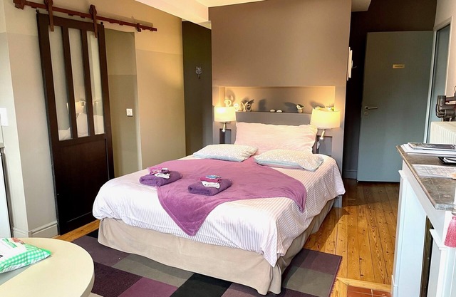 Luxury studio in the center of Chartres with parking