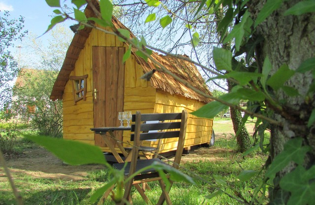 Magic cabin