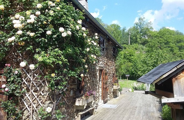 MAGNIFICENT SHEEPFOLD *