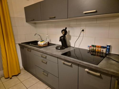 Maison avec 4 chambres BREST et TV dans chaque chambre