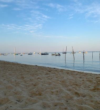 Maison cap ferret proche des plages