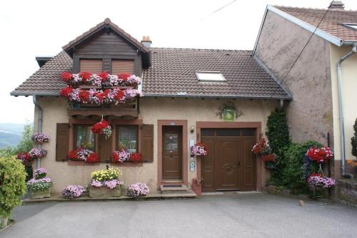 Maison charmante avec jardin à Haselbourg - Vue sur montagnes