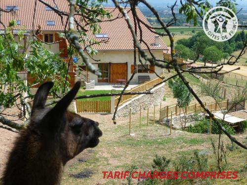Maison cosy avec spa, sauna et lamas à proximité de Roanne - FR-1-496-23