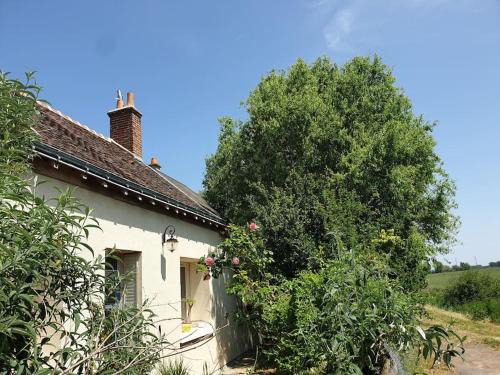 Maison de campagne - Cangey