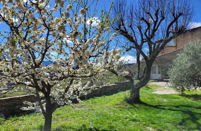 Maison en Provence Avec Jardin Arboré et vue sur le Mont Ventoux