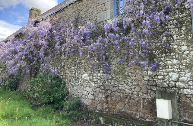 Manoir de Campagne Avec Parc Arboré de 7000m²