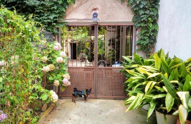 Marakasa B&B