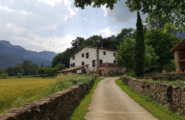 Mas Rubió