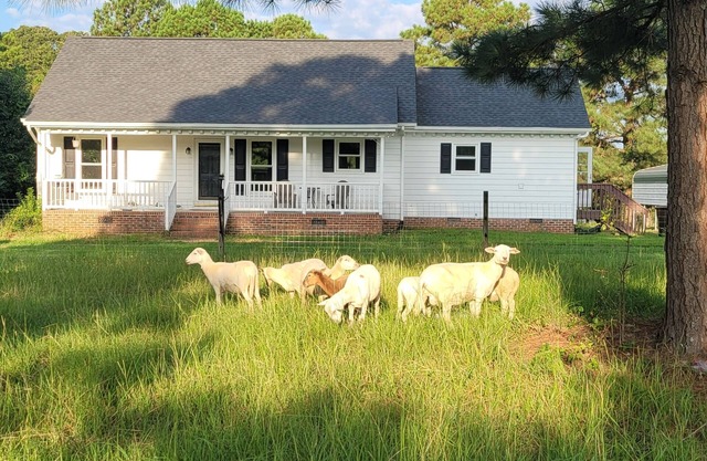 Meadow Farm in Holly Springs, NC