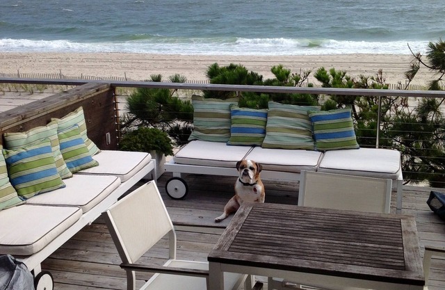 Mint Oceanfront Fire Island Pines 2 BR/2 bath Co-op