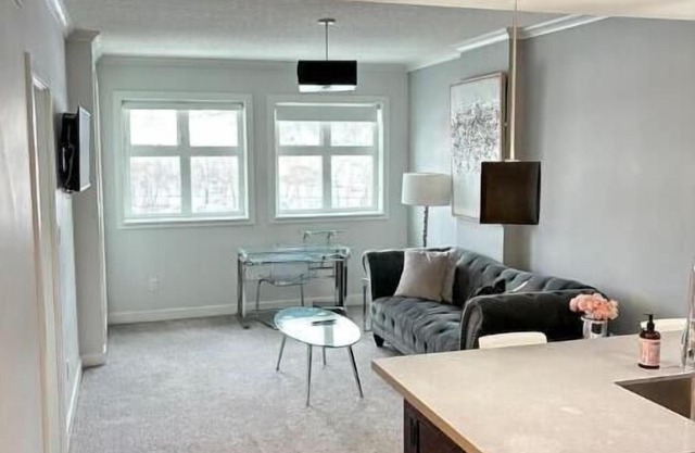 Modern and Charming one bedroom Apartment Calgary downtown #503