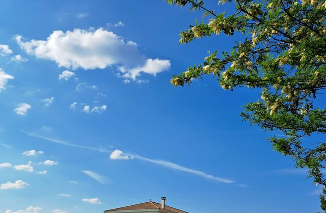 Modern luxury villa with heated pool, in a beautiful quiet countryside.