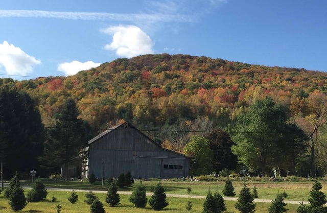 Mountains, pond, old barn, hiking trails- quintessential Vermont