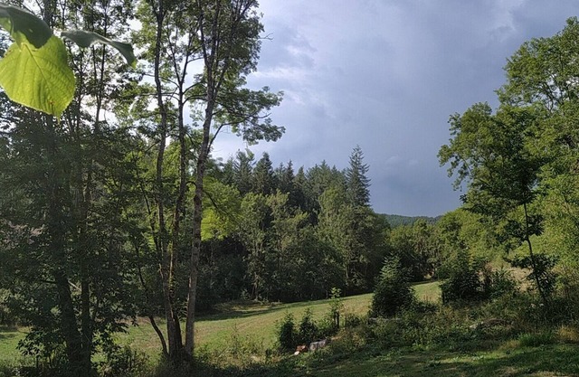 Nature but not only.