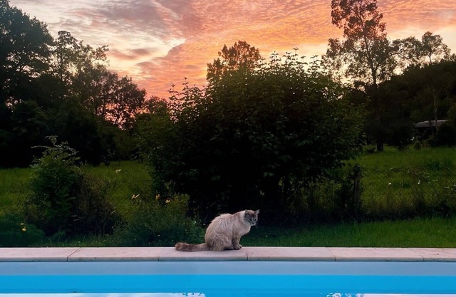 Nature villa with 25m swimming pool between forests and the Pyrenees
