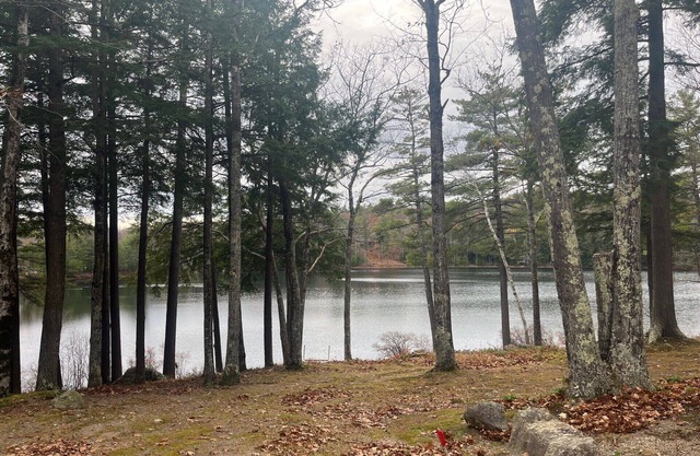 Natures Escape on Randlett Pond