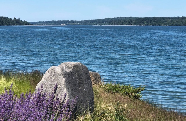 nBeach Access Air Conditioned Modern Cottage At Gateway To Olympic National Park
