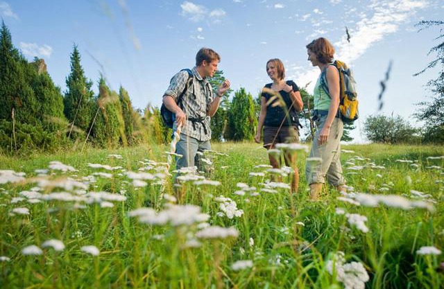 Nengshof Ferienhäuser Sonnenblume und Heublume