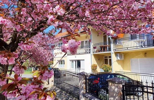 New, modern apartments, bright, friendly and clean! Many regular guests.
