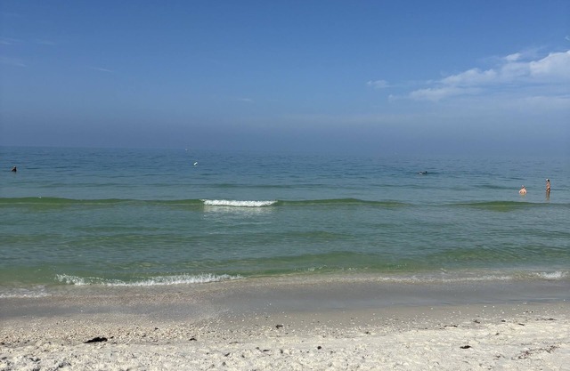 Newly updated and professionally managed Condo in N Naples, near the beach