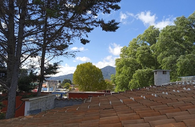 Nice Room in La Casa Del Rio Central with Terrace All Furnished