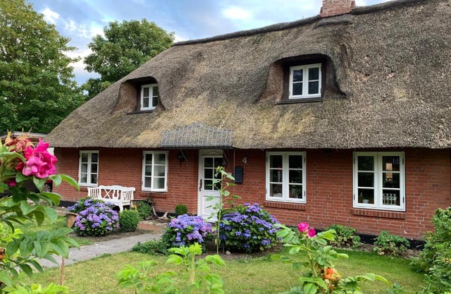 Nordsee-Traum unter Reet