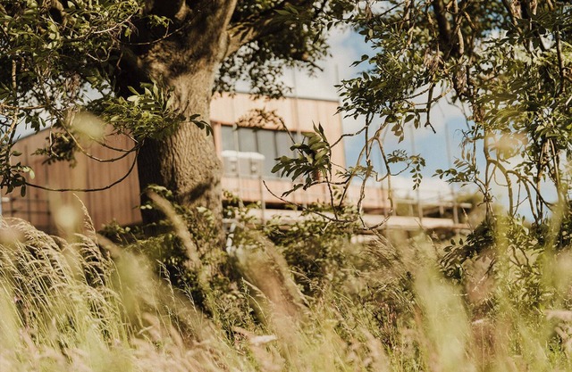 Nuthatch Elevated Treehouse