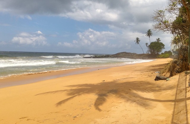 Ocean of Life Ayurvedic Resort