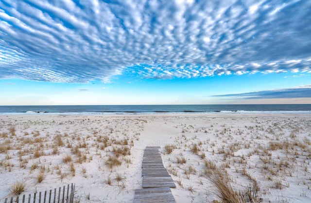 Ocean,pool, boardwalk bay, bed,new kitch,new bath,new furn, steps to ocean