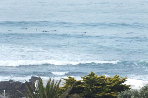 Ocean Tides