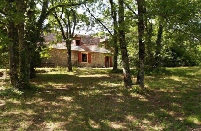 Old house with exposed beams, 9x4 pool. 5m